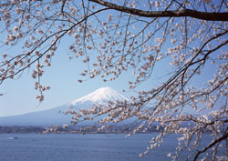 山梨県　富士山・富士五湖写真